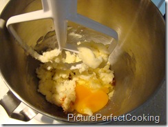 snickerdoodle-add eggs