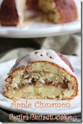 applecinnamonswirlbundtcake