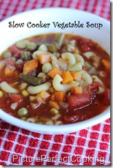Slow Cooker Vegetable Soup