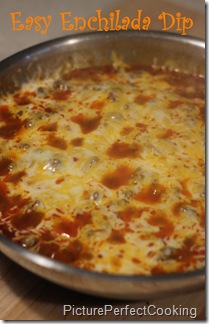 Easy Enchilada Dip 1