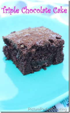 Triple Chocolate Cake 2